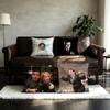 Hot TV The Office Pillow Case Square Double-Sided Printing Short Plush Sofa Cushion Cover Bedroom Bedside Pillow