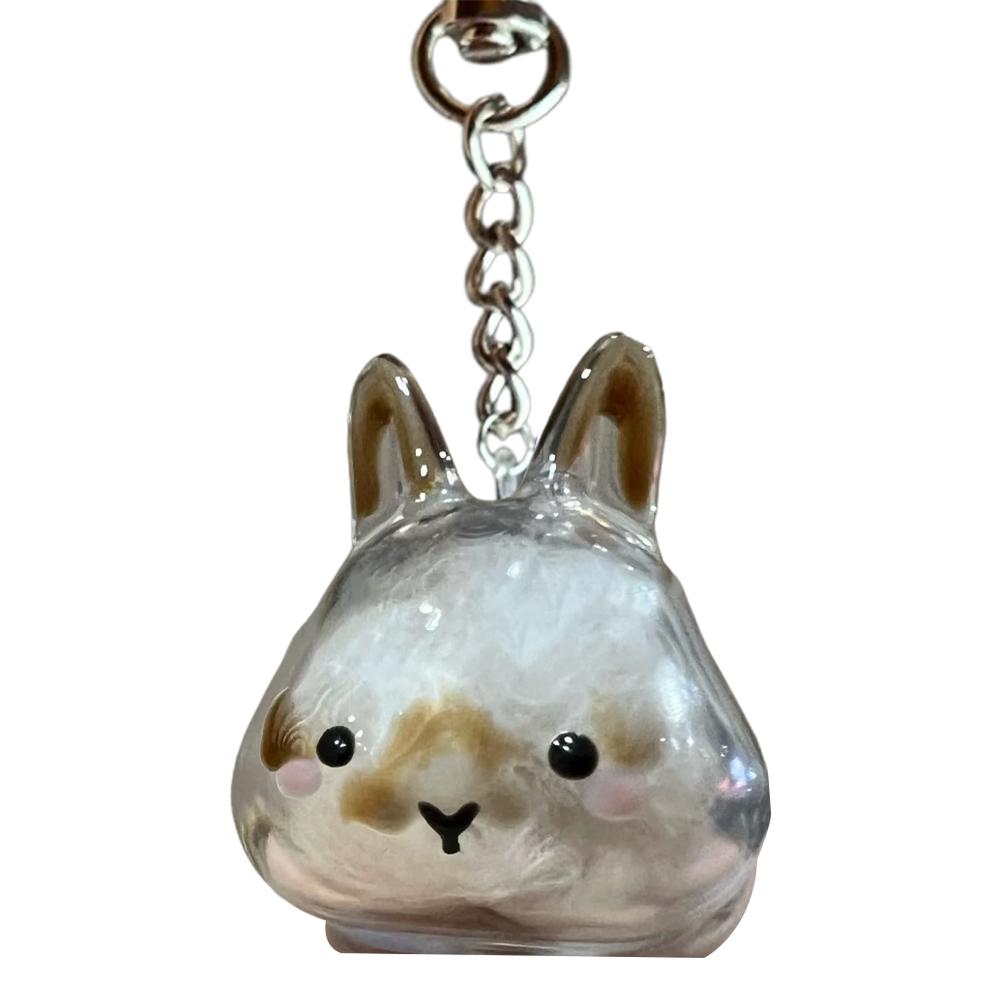 Clear Rabbit Hair Storage Keychain Puppy Hair Storage Capsule Pet's Fur Container Box Dog Cat Hanging Pendant Souvenirs