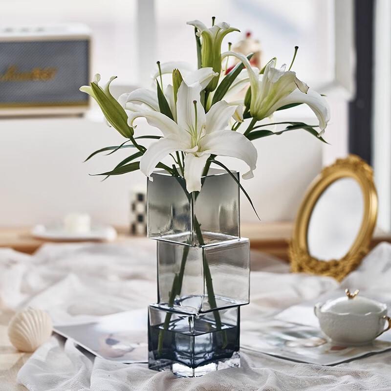 Ruijie Creative Geometric Glass Flower Vase