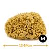 Gąbka do kąpieli - naturalna morska - rozmiar m 12-14 cm