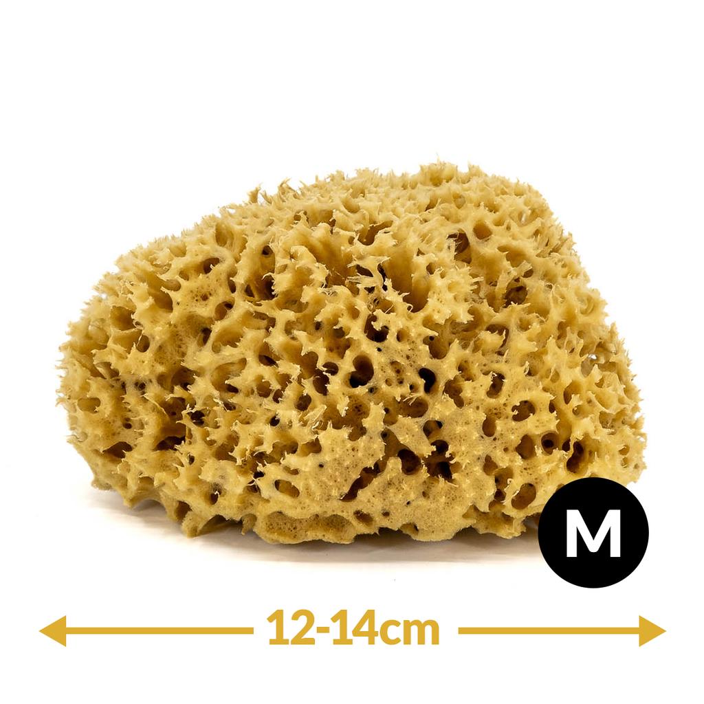 Gąbka do kąpieli - naturalna morska - rozmiar m 12-14 cm