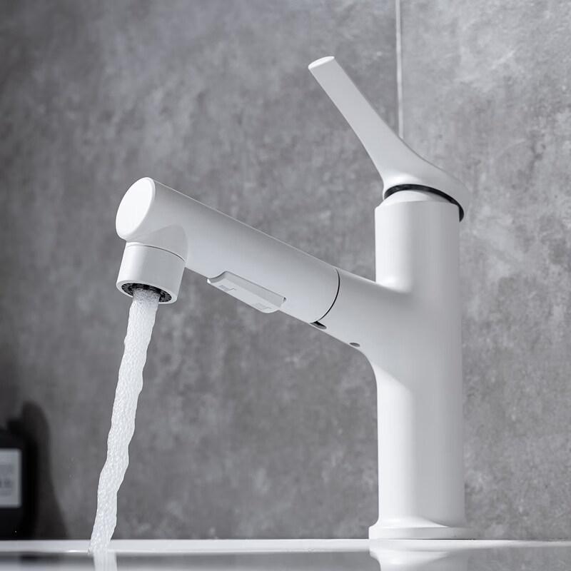 Pull-Out Basin Faucet