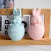 3D Bunny Egg Candle Silicone Mold Easter Resin Casting Mould for DIY Candle Making Clay Craft Plaster Home Decoration