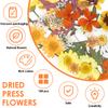 104/94pcs Dried Flowers Natural Plant Pressed Flower Epoxy Resin Fill DIY Make Art Craft Diarybook Decor Handmade Resin Material