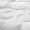 Mercury Home Textiles 95% White Goose Down All-Season Duo Quilt