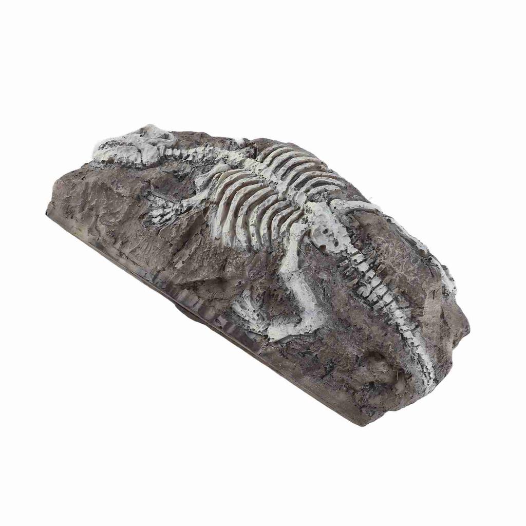 Aquarium Dinosaur Reliquiae Decoration Reptile Resin Dinosaur Reliquiae Rock   for Fish   Aquarium