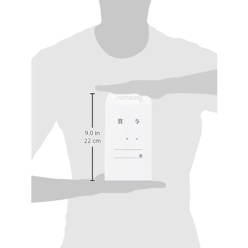 KOKUYO Bonus Bag Square 8 30 Pieces Shin-135NZ