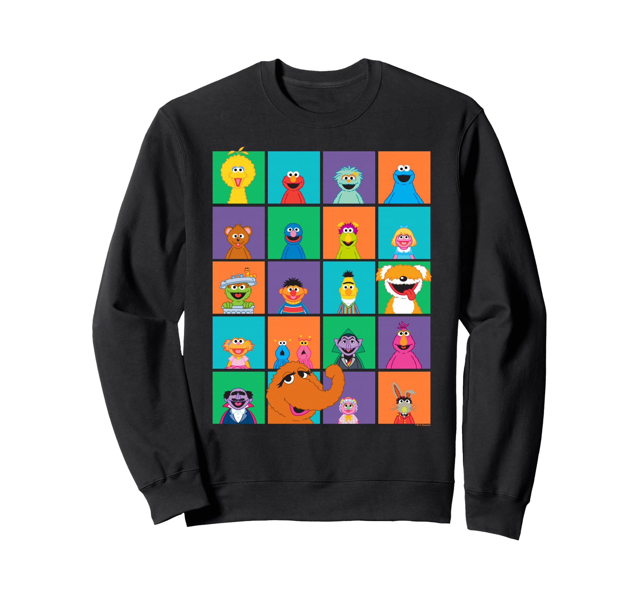 

Sesame Street Character Squares Sweatshirt