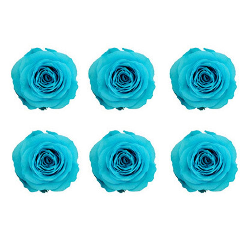 6 ks/škatuľka 5-6 cm zachovalý kvet nesmrteľná ruža DIY valentínsky darček k svadbe