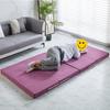 Folding Mattress Sponge Mattresses Portable Elegant Luxury Tatami Mat Lazy Multifunctional Individual Office Nap Tatami Mats