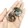 9Dzine Natural Ammonite Fossil Pair Healing Energy Stones for Meditation Reiki Home Décor Spiritual Growth