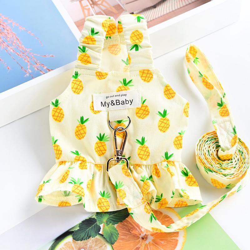 Pet Small Dog Dog Clothing Puppy with Leash Yorkshire Pomeranian Bear Teddy Skirt Spring Summer Thin