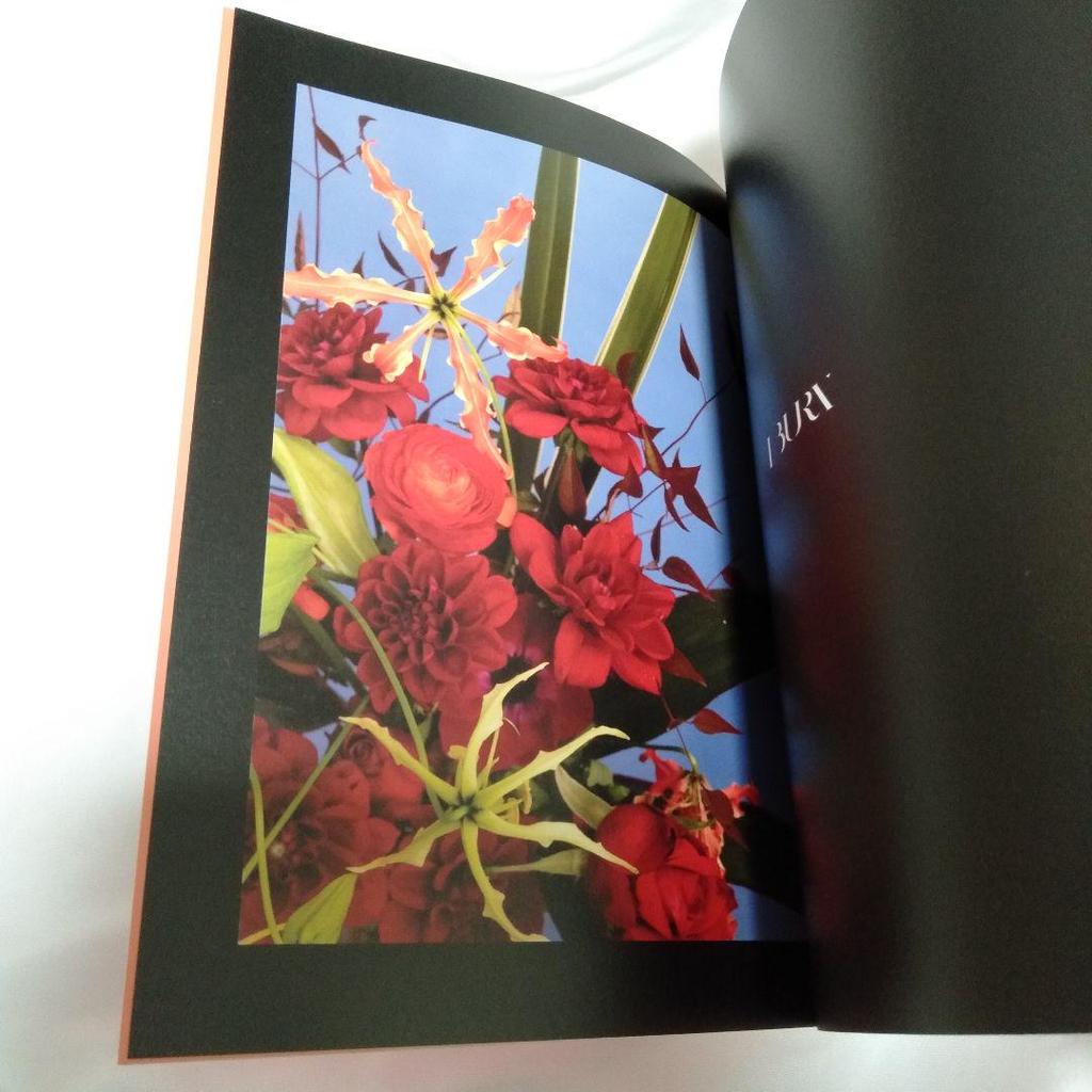 [USED] (G)I-DLE I BURN Hana ver. Opened