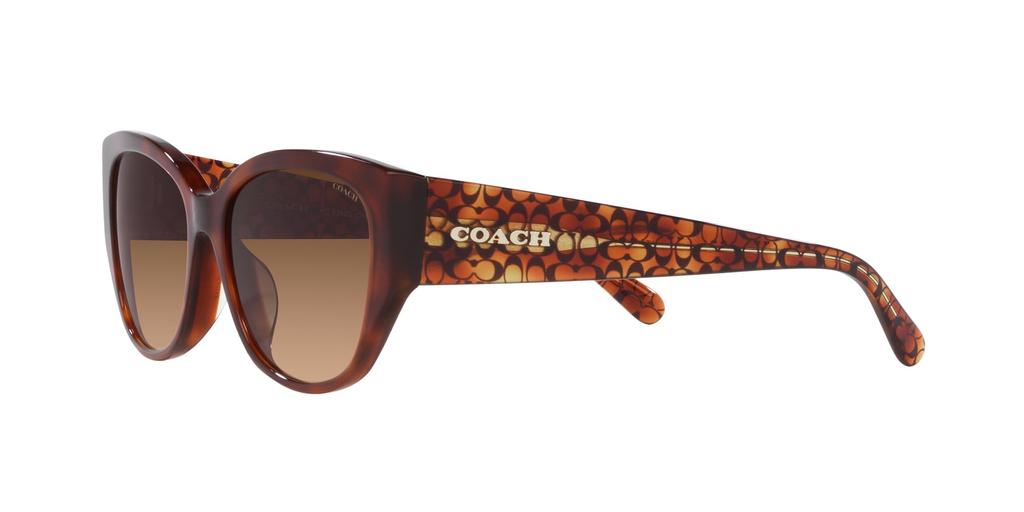 Coach Sunglasses HC8362U CH563 Caramel Tortoise Gradient Lens 57 Frame/Brown