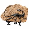 Dinosaur Display Ornament Desktop Resin Skeleton Plaque Textured Style