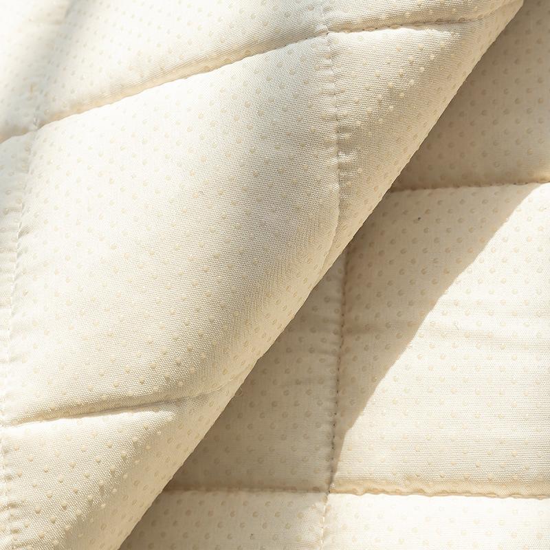 New Thickened Warm Sofa Cushion Autumn And Winter Plush Non-Slip Straight Row One-Piece Seat Cushion Leather Sofa Cover