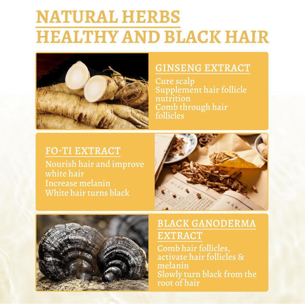 Sérum pour cheveux gris, sérum assombrissant naturel, nutriments à base de ganoderma, assombrissement naturel, nutriments capillaires biologiques, sérum gris, favorise des cheveux plus lisses 30 ml