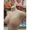 Barbara Full Cup Bra C D E Skin Soft molD  Abr4398 