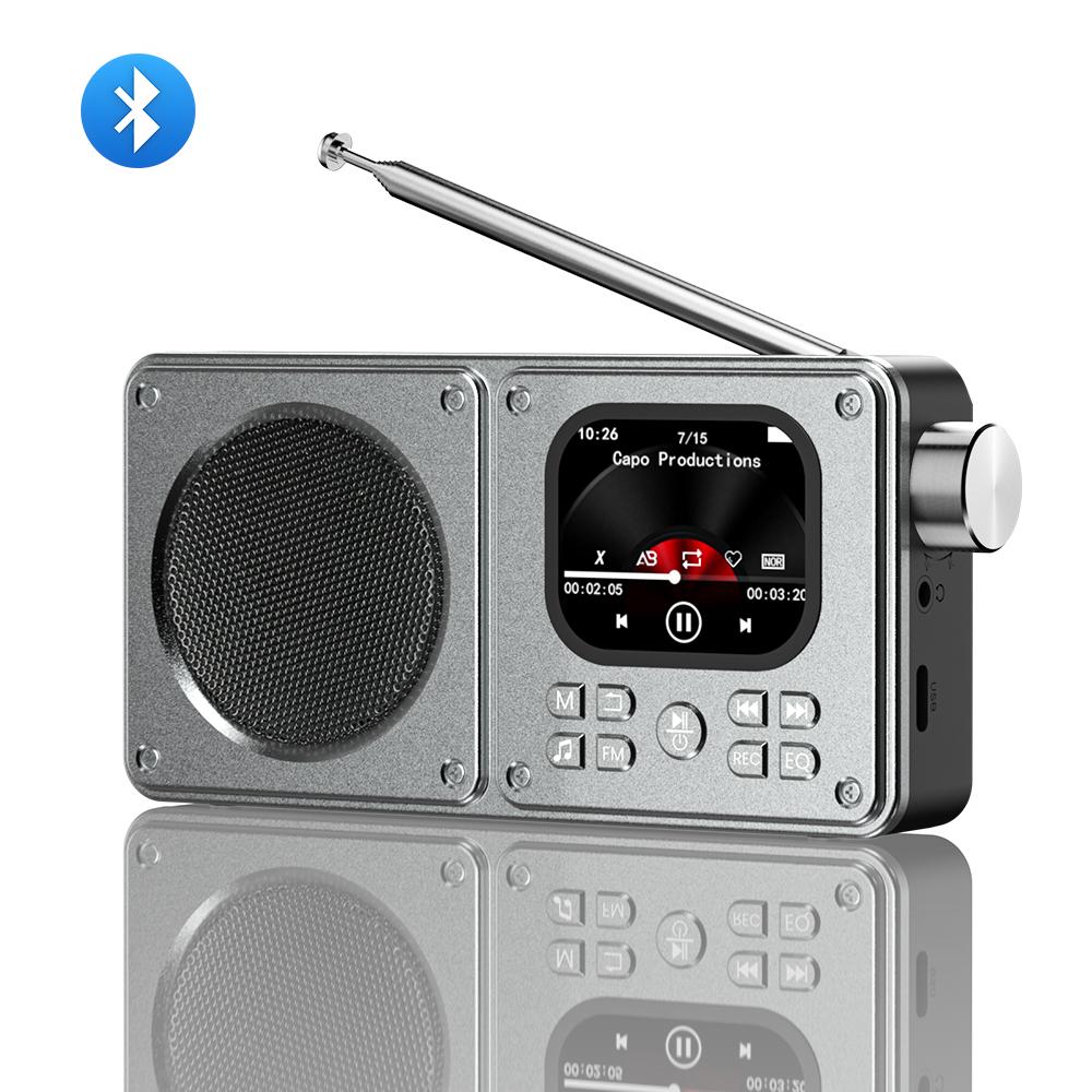 

Портативный FM-радио MP3 Беспроводной BT5.4 Bluetooth-динамик с ЖК-экраном Часы Тексты песен Дисплей Антенна AUX вход, TF карта, видео серый