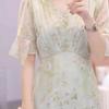 Light Feather Silk Floral Chiffon Dress Covering Meat 2026 Summer New Fashion Loose and Thin Temperament Over the Knee Skirt