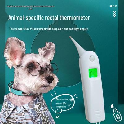 Köpekler, Kediler ve Domuzlar için Yüksek Hassasiyetli Evcil Hayvan Rektal Termometresi