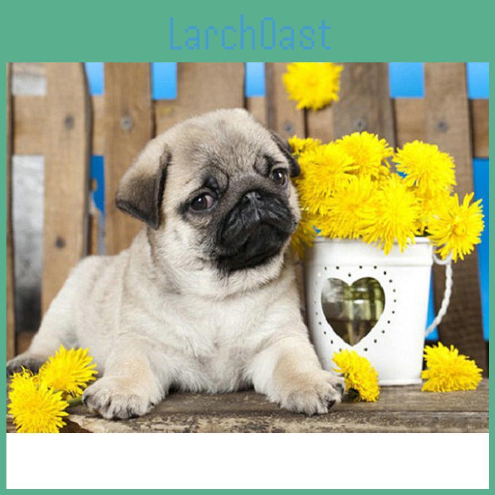 5d Painting Diy Animal Diamond Dog Full Round Embroidery Sale Rhinestone Picture