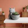 Garden Decor Cat-Shaped Planter Pot Ornaments Cacti Plant Pot Cute Succulents Pot  Desk