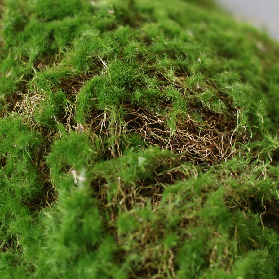 Artificial Green Moss Decor for Indoor Plants and Micro Landscapes