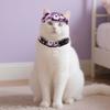 Clothes Halloween Pets Costumes Breathable Cat Woven Hat Bib Halloween Cat Headgear  Photos Props