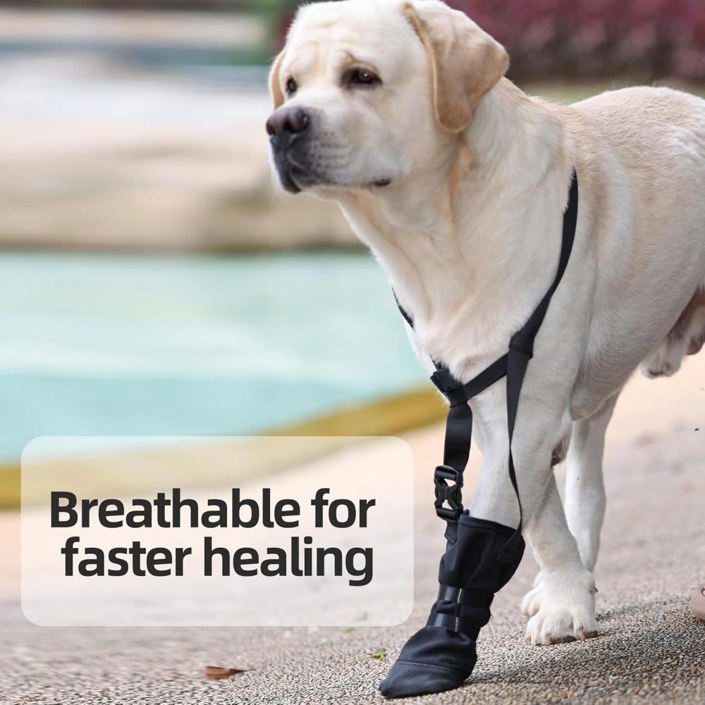 Protecție pentru laba câinelui cu guler Protecție pentru laba anterioară a câinelui Pantof de exterior anti-coliziune și anti-murdărie