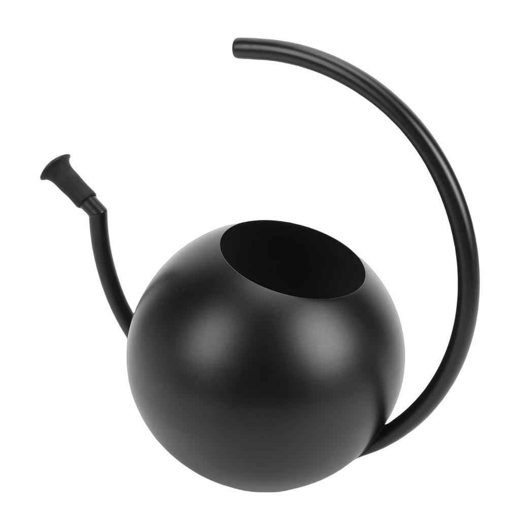Watering Can, 1000ml Stainless Steel Indoor Plant Watering Pot with Comfortable Handle and Spout, for Garden Decor