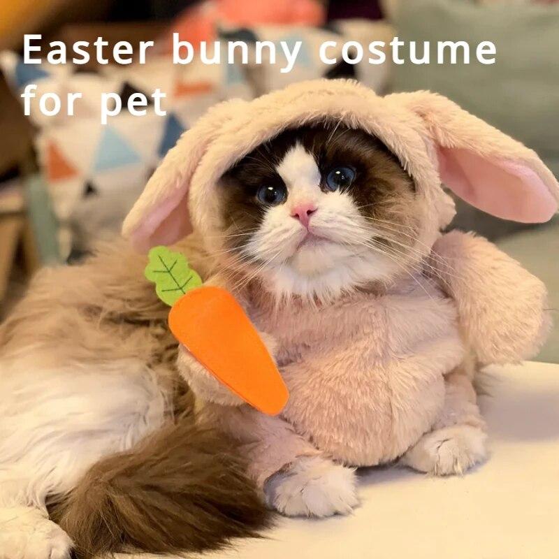 

Кошачьи платья Одежда Нарядная одежда Переодевание Пасхальный кролик Костюм Домашнее животное Забавный с морковкой Забавный кролик Милый