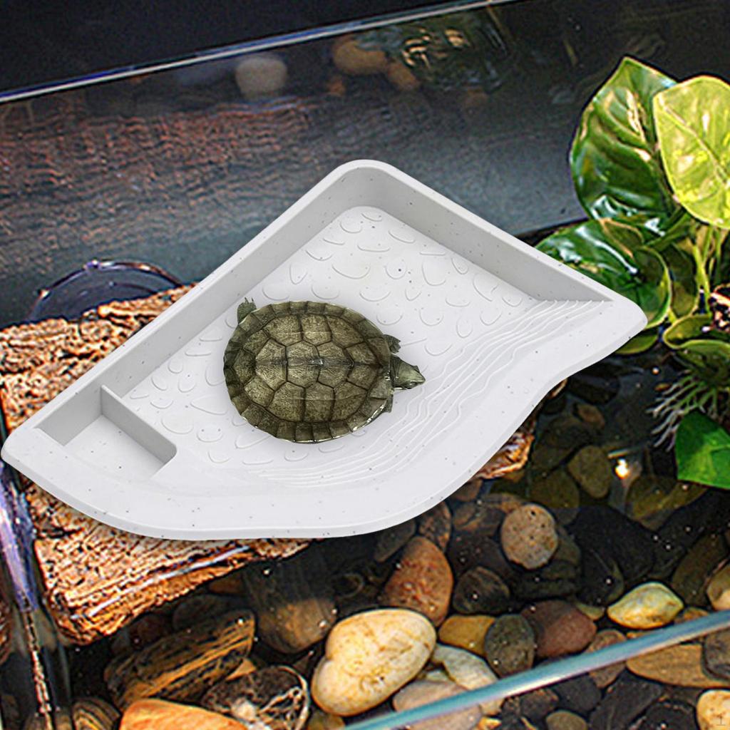 Aquarium Decoration with Bathing Area for Tortoise and Bearded Dragon