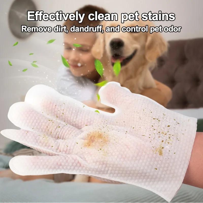 6/12/30pcsCat/Dog Disposable Glove Towels Pet Wash Free Glove No Rinse Washing Gloves Towels Deodorizing Dry Cleaning Wet Towels