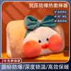 New Rubber Hot Water Bottle For Winter Hot Water Bag Hot Compress Long-Lasting Insulation Cartoon Cute Plush Shell Holiday Gift