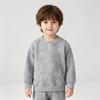 Boys Dinosaur Pullover Sweatshirt Long Sleeve Crewneck Blue Gray