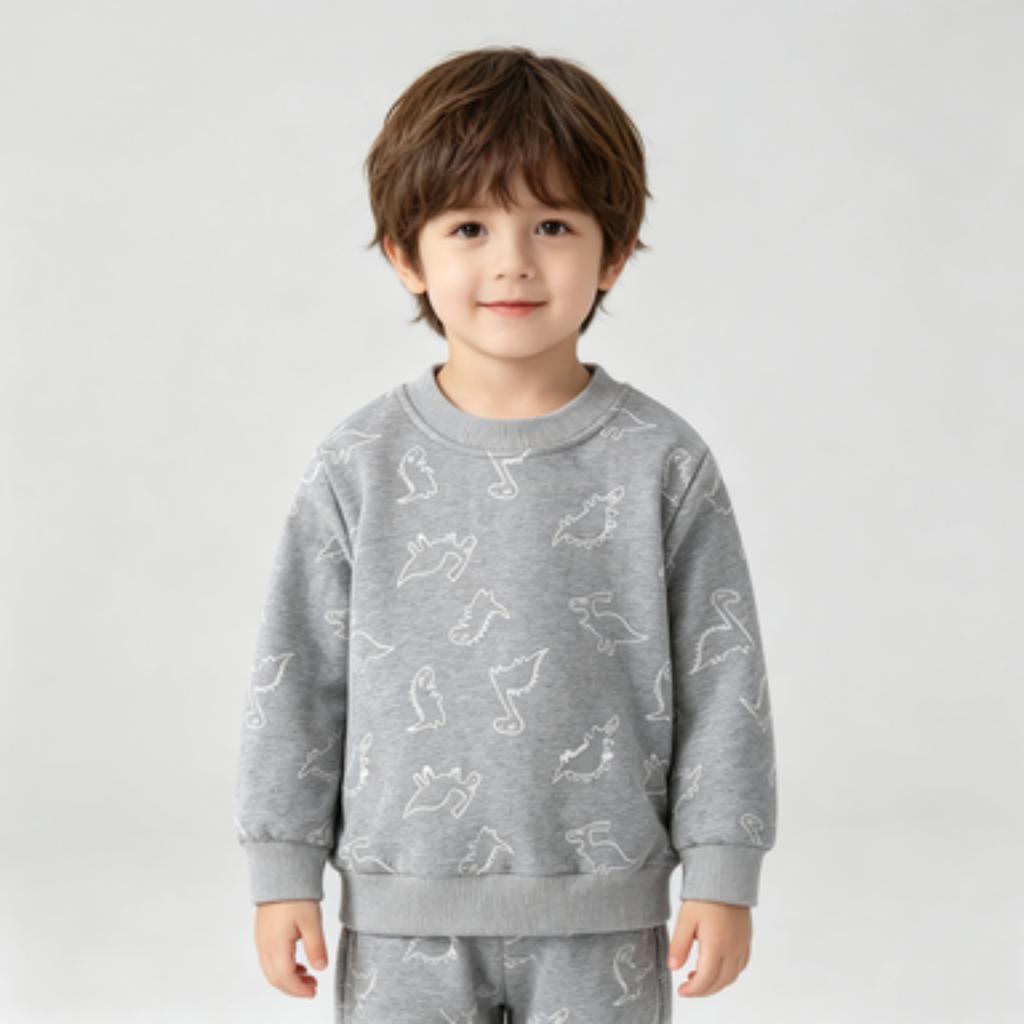 Boys Dinosaur Pullover Sweatshirt Long Sleeve Crewneck Blue Gray