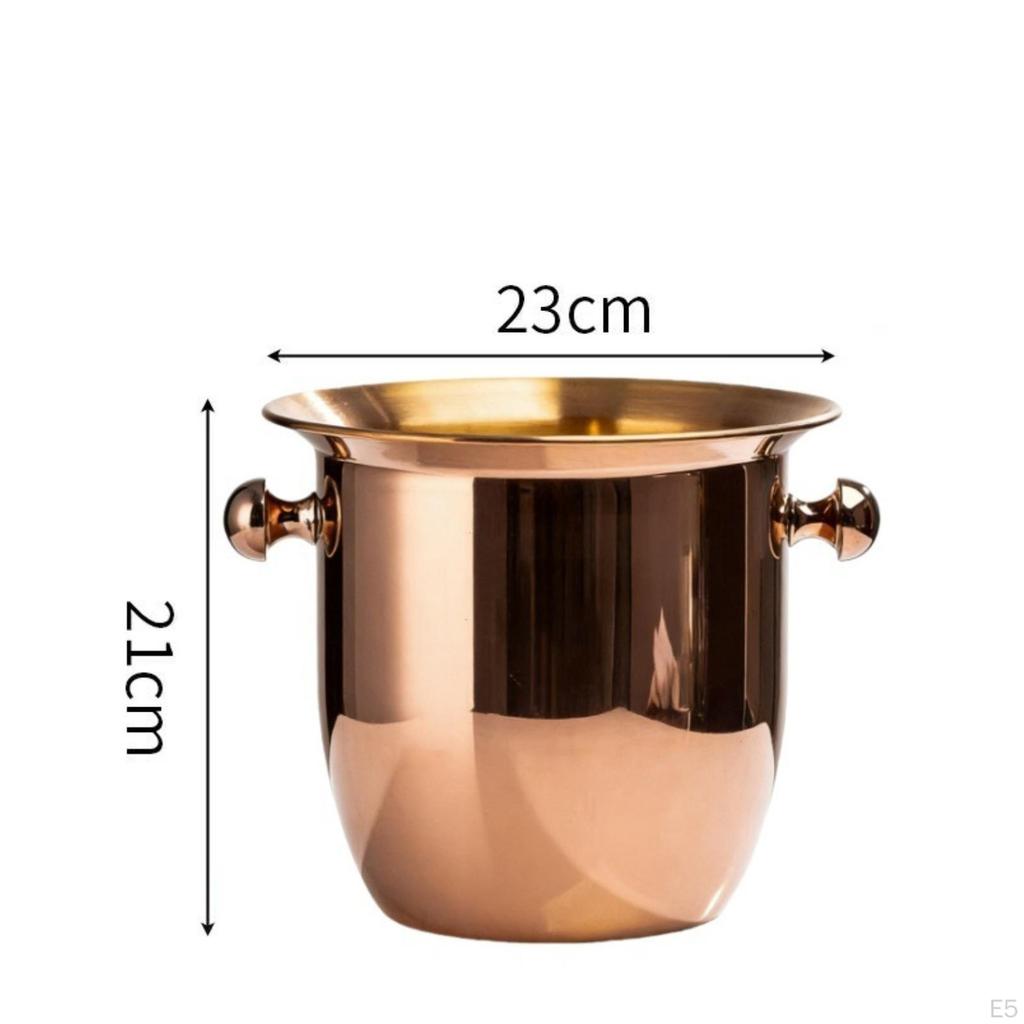 Ice Vessel with Handles Double-Handled Champagne Rust-Resistant for Hosts