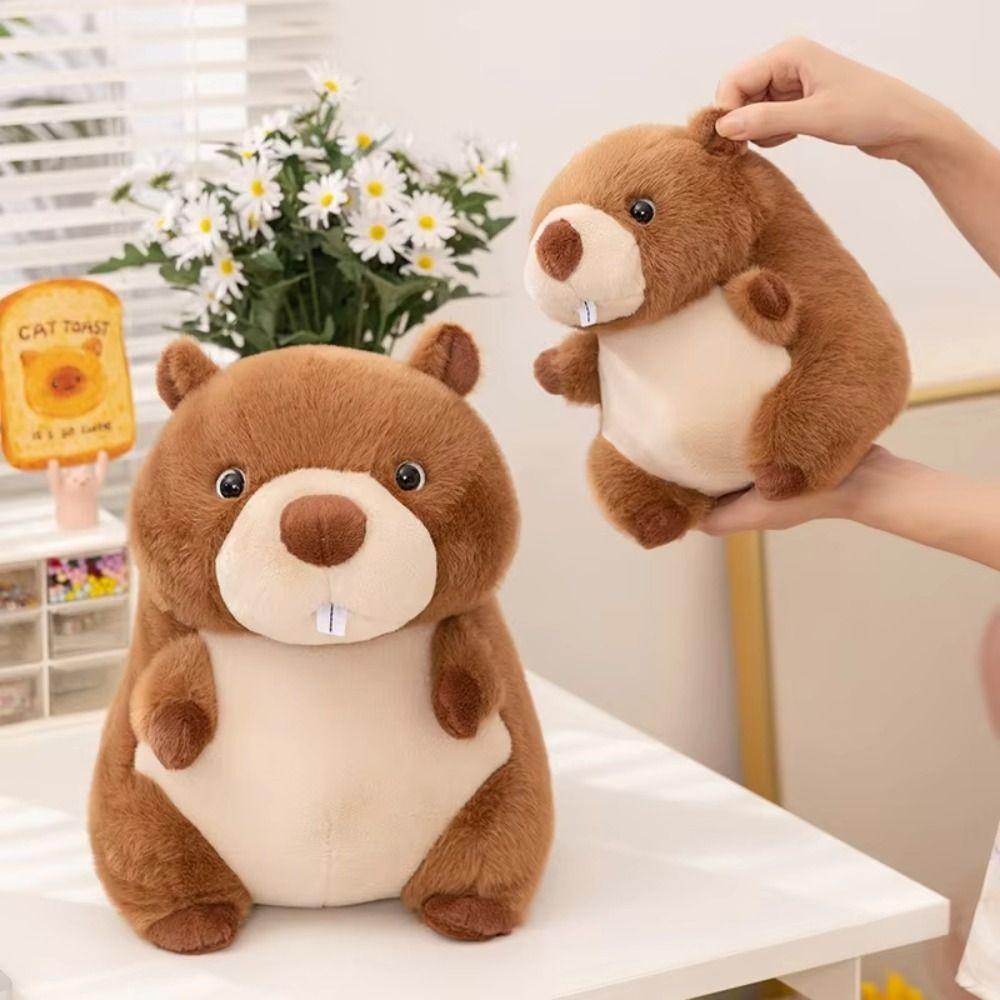 Fluffy Stuffed Cartoon Groundhog Doll PP Cotton Chubby Marmot Stuffed Toy  Decoration Gifts