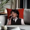 Trending GGgerard Wayed Cushion Cover Antidustmite Pillowcase Invisible Zipper Silky Short Plush Sofa Cushion Cover