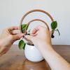 Round Wooden Plants Trellis Indoor Outdoor Potted Flowers Plants Climbing Small Houseplants Vine Ivy Support Concentric Circles Stake