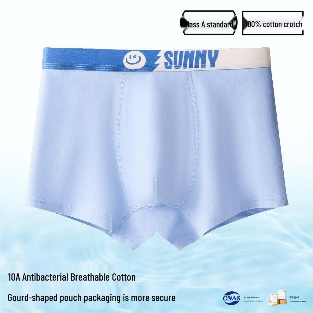 Men's Plus Size 100% Cotton Antibacterial Boxer Briefs