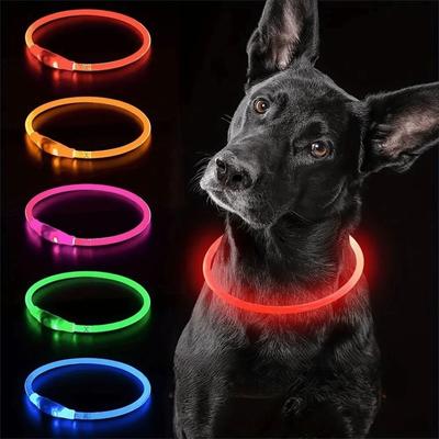 Collier LED Rechargeable par USB pour Chien de Haute Qualité Anti-Perte Lumineux Fibre Optique pour Chien Coupeable Durable