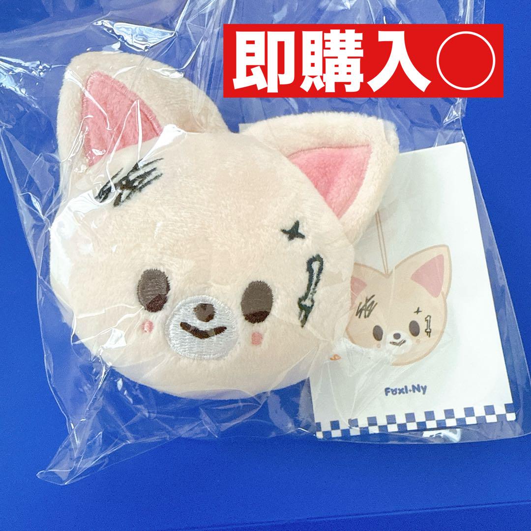 

[USED] Stray Kids KARMA POPUP Name Tag Foxiny