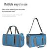 Breathable Foldable Large Capacity Crossbody Pet Carrier Bag for Travel