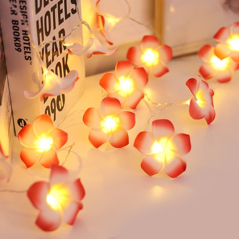 New LED Frangipani String Lights: Fresh and Sweet Holiday Room Decoration