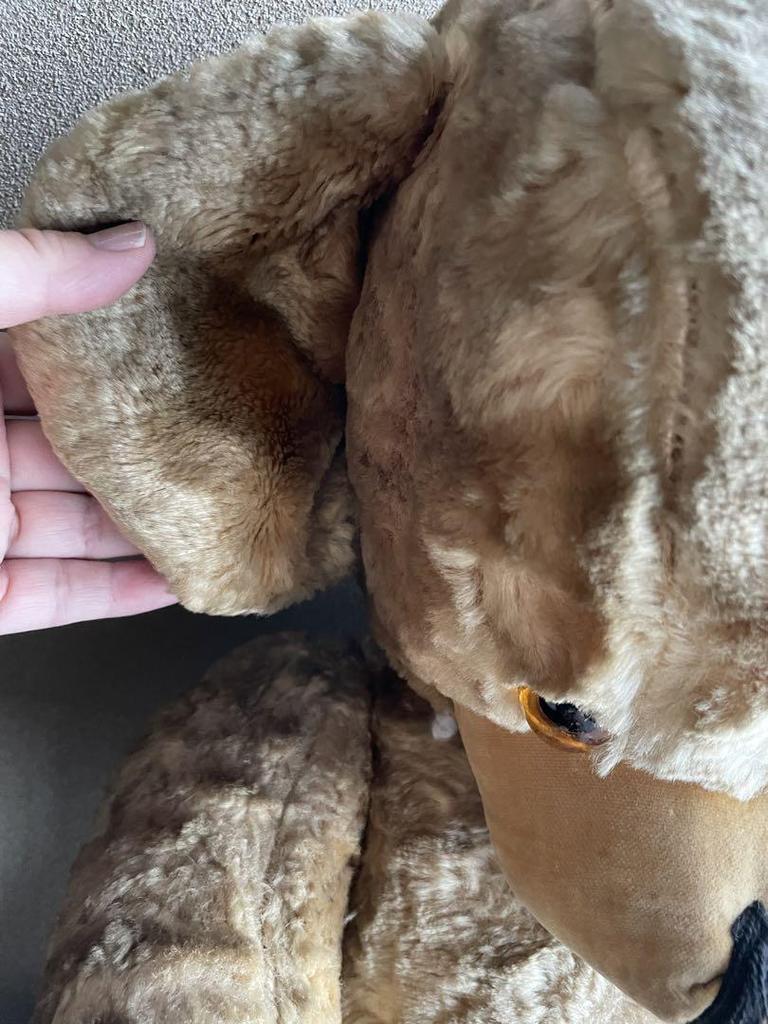 [USED] Large Vintage Cheeky Bear REG Cheeky Bear Vintage Teddy Bear