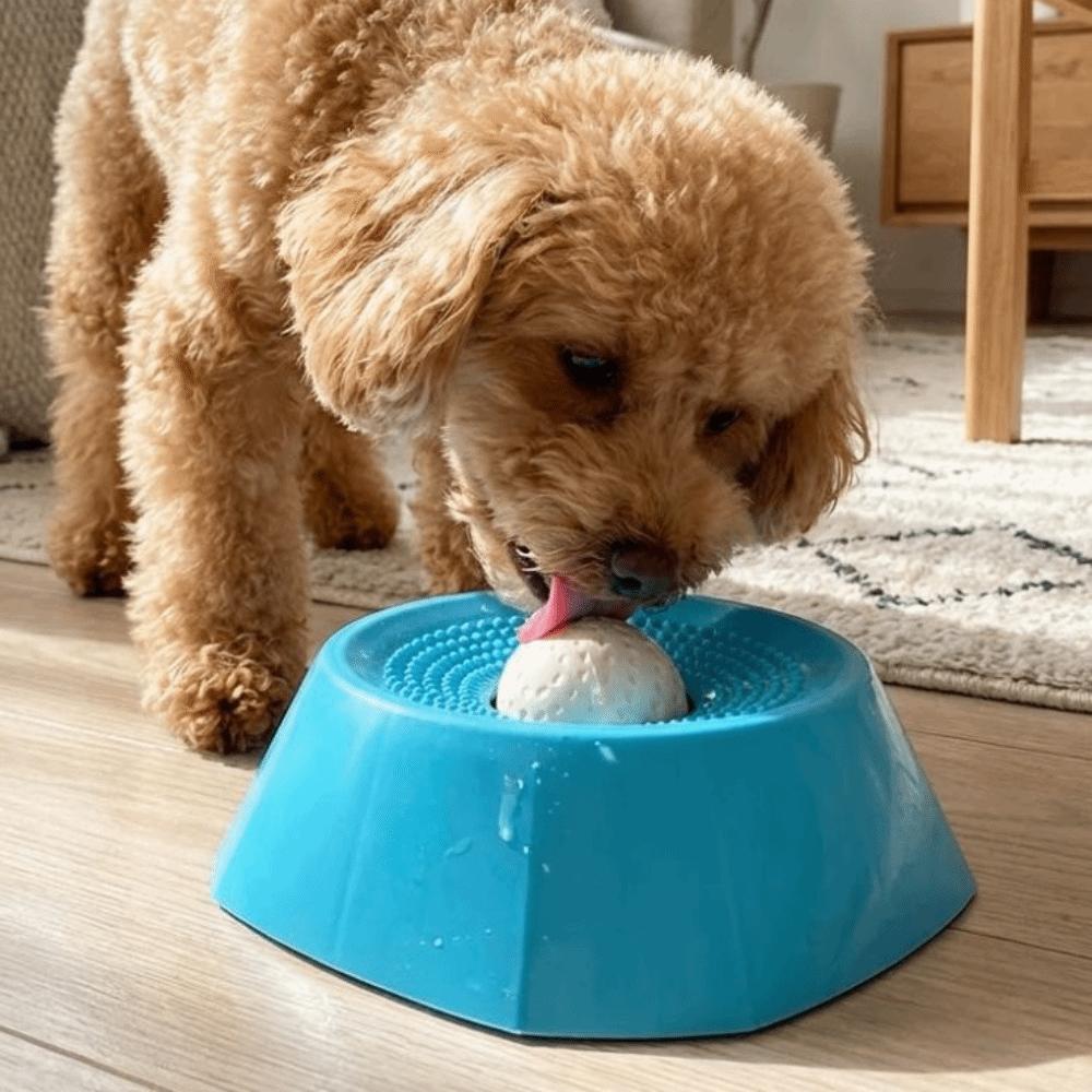 Anti-Choking Dog Licking Bowl Non-Slip Base Liquid Slow Bowls Slow Feeder Dog Bowl Pet Enrichment