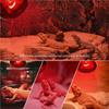25/50/75/100W Daylight Heat Bulb E27 UVA Lamp Pet Supplies Basking Light  Aquarium