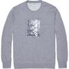 Sweatshirts Men's Gray Crew Neck Moderate 10002151-A02